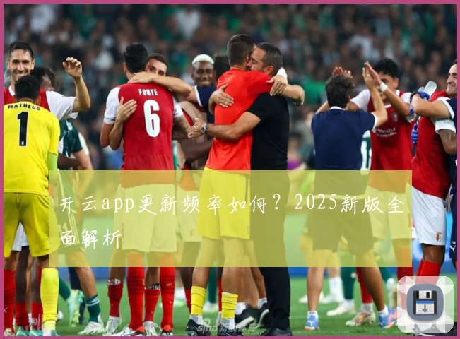 开云app更新频率如何？2025新版全面解析