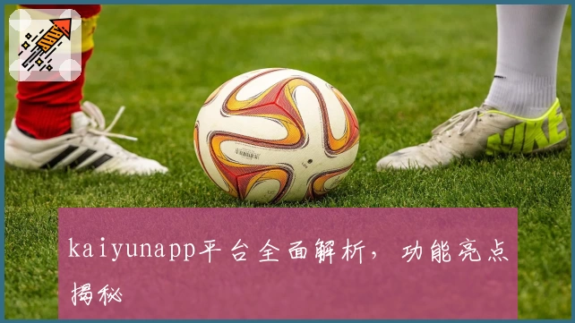 kaiyunapp平台全面解析，功能亮点揭秘