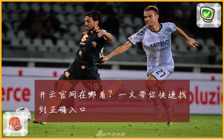 开云官网在哪看？一文带你快速找到正确入口