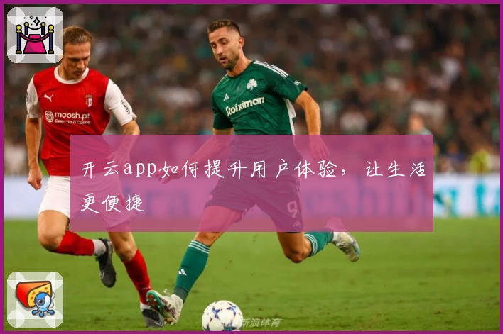 开云app如何提升用户体验,让生活更便捷